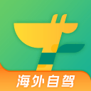 篮网迎重返季后赛窗口